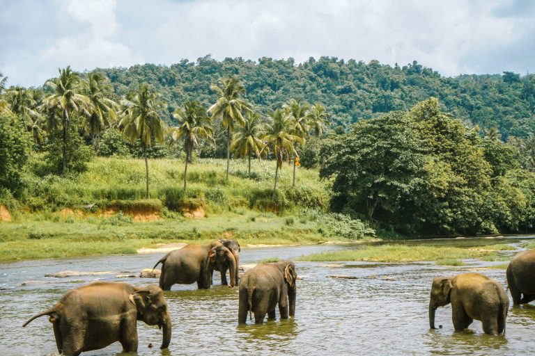 sri lanka